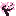 Cherry sapling