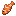 Tropical fish